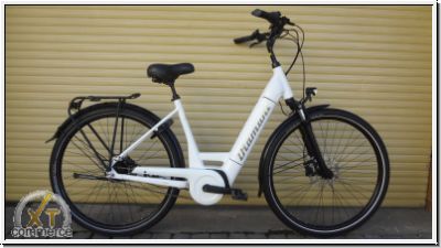 Diamant Beryll Deluxe+ Wave 50Nm 500Wh 8-Gang mit R�cktrittbrem.