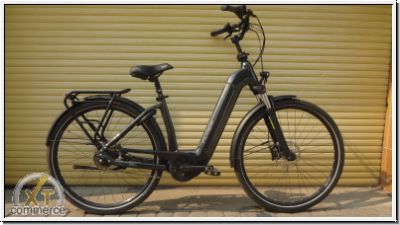 Flyer Gotour 6 Wave 65Nm 625Wh 5-Gang Freilauf