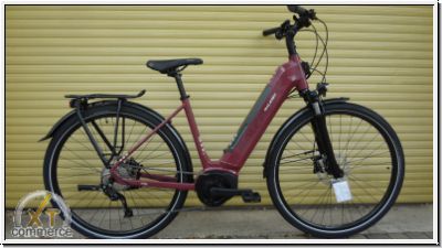 Raleigh KENT 9 BPI 65Nm i500Wh 2022